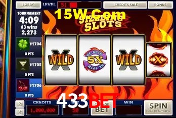 Security Systems 433Bet
